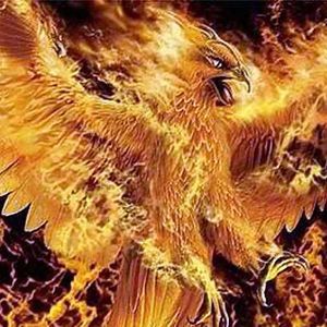 Meet your Posher, Willy